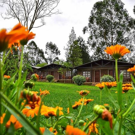 Hotel Las Azaleas Jardín América Buitenkant foto